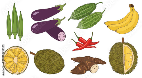 A vibrant vector illustration set of exotic Southeast Asian fruits and vegetables, including durian, jackfruit, and taro