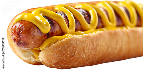 Delicious hot dog with mustard