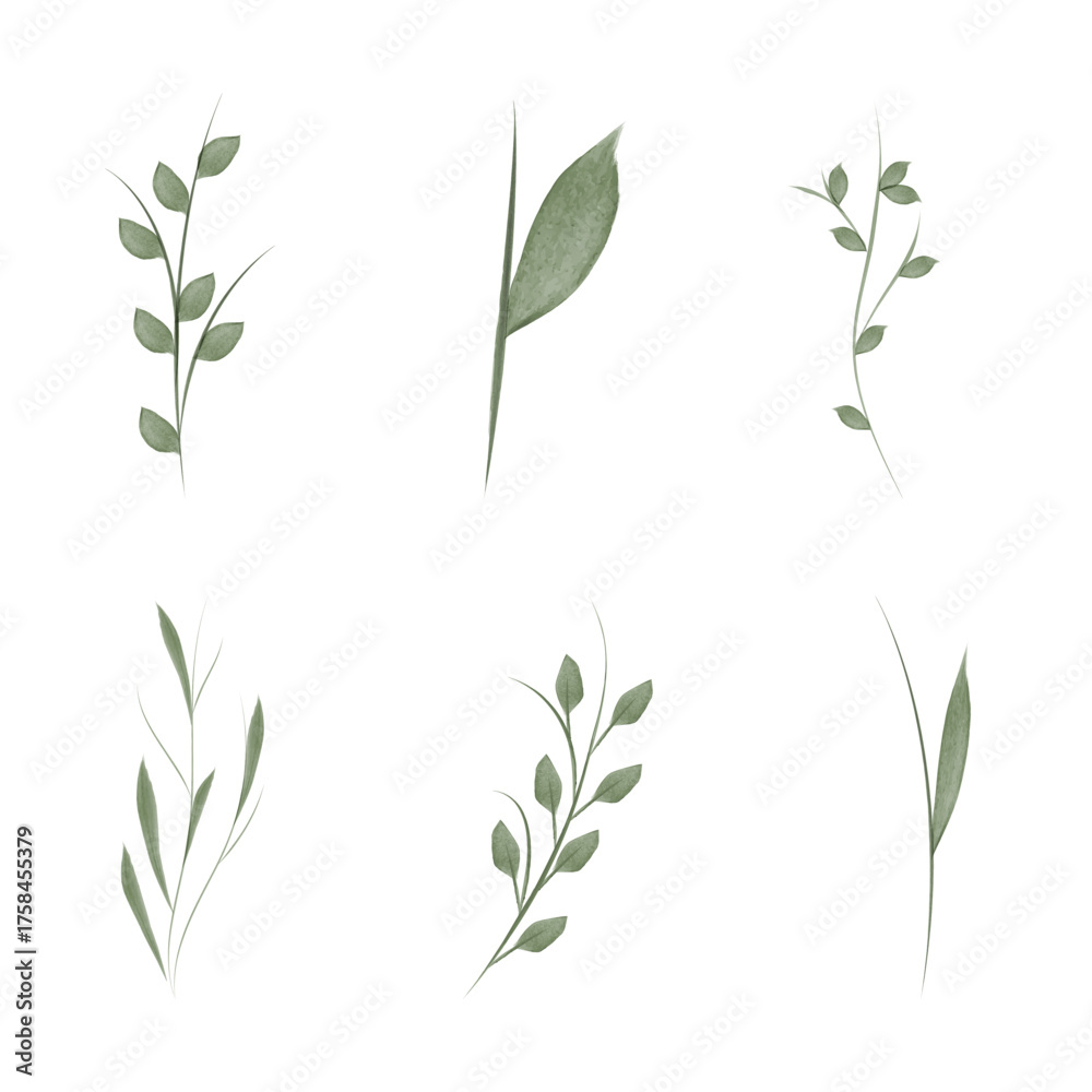 Fototapeta premium A set of six watercolor illustrations depict delicate flower stems and leaves. These are provided as a vector set, perfect for use in conservation and environmental themed designs.