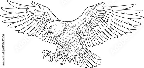 Eagle drawing. This black and white outline depicts a majestic eagle with its wings spread wide, capturing its powerful and predatory nature. Vector sketch line art draw.
