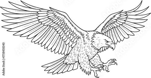 Eagle drawing. This black and white outline depicts a majestic eagle with its wings spread wide, capturing its powerful and predatory nature. Vector sketch line art draw.
