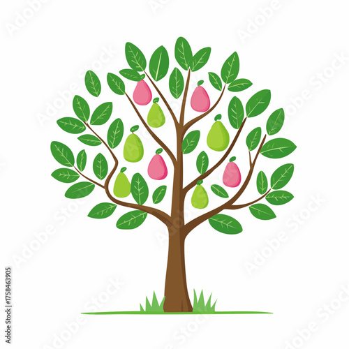 A vibrant illustration of a tree laden with ripe pears, showcasing nature's abundance from a frontal viewpoint.