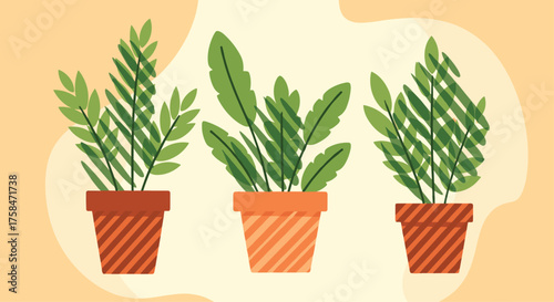 Three potted green houseplants with lush leaves and textured pots.