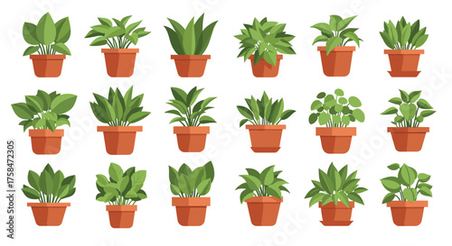A collection of potted green houseplants with varying leaf shapes and sizes arranged in rows on a white background.