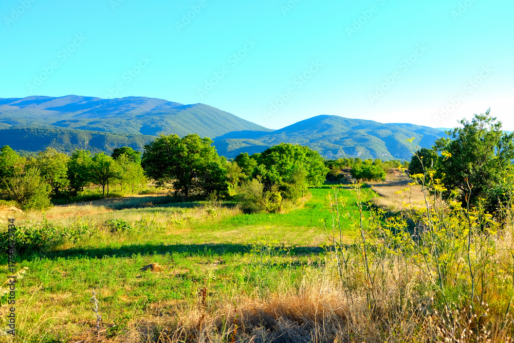 Obraz premium A vibrant, sunny rural landscape featuring golden harvested fields and a line of green trees, set against a backdrop of hazy blue mountains in Abruzzo, Italy.