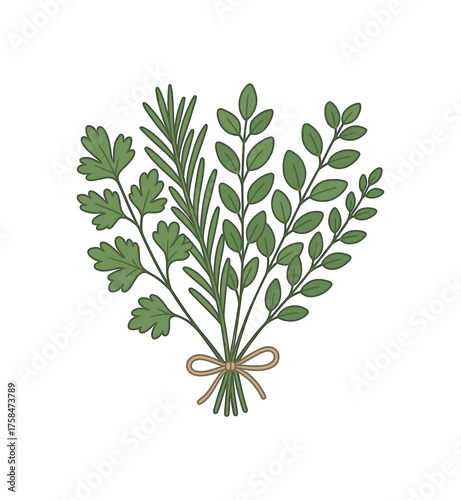 herbs bunch home cooking flat vector illustration style isolated on white background