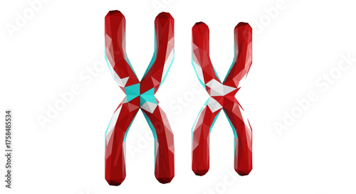 Human Chromosomes Representation Genetic Code & Heredity