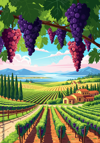 Picturesque Vineyard Landscape Featuring Abundant Grape Bunches Draping Over Rows of Vines, Leading to a Tranquil Lake and Distant Hills