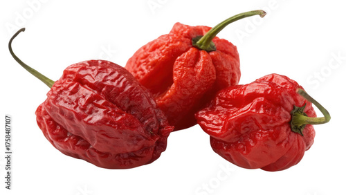 Three ripe red carolina reaper chili peppers isolated on transparent background