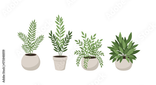 A collection of four potted green houseplants shown against a white background.