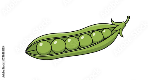 A healthy green pea pod with six round peas inside.