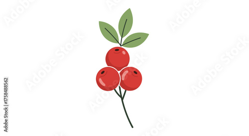 A cluster of three red berries with green leaves on a thin stem.