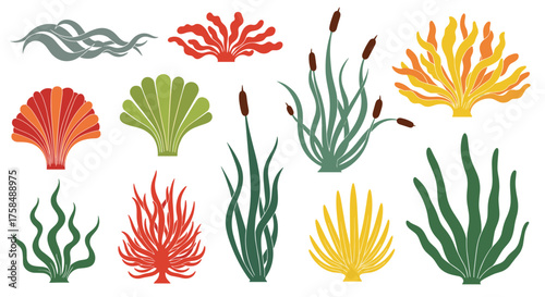 A colorful assortment of underwater flora and fauna elements.