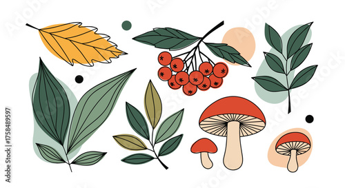Autumn leaves berries and mushrooms watercolor illustration.