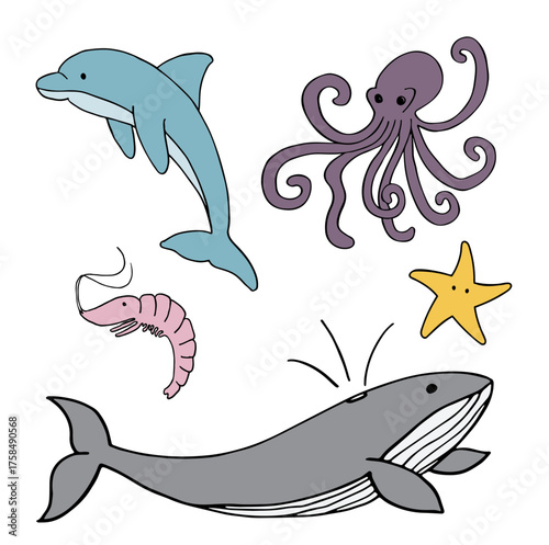 Hand drawn sea creatures
