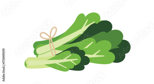A bunch of fresh bok choy tied with a string.