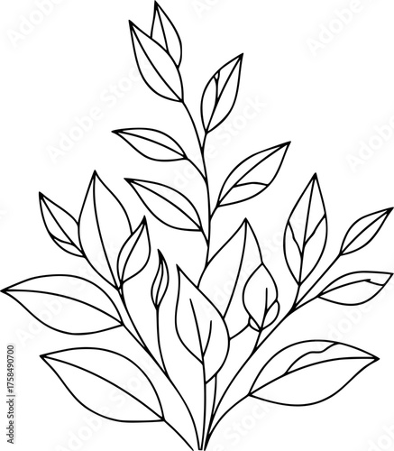 Transparent PNG available
Leaf enviroment line art style grow leaves vector.