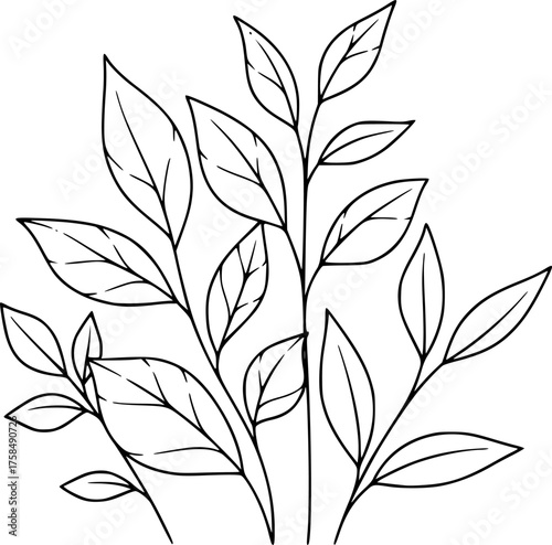 Transparent PNG available
Leaf enviroment line art style grow leaves vector.