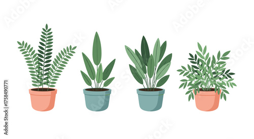 A collection of four potted houseplants with green leaves.