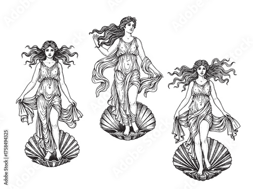 Aphrodite Standing on Seashell Vintage Engraved Mythology Illustration Vector