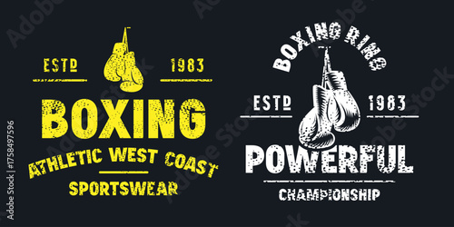 Boxing match emblem for t-shirt. Graphic design with rough texture. Blue print on pink background