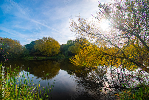 Autumn trees reflected on water at a local pond in Nottingham, UK.