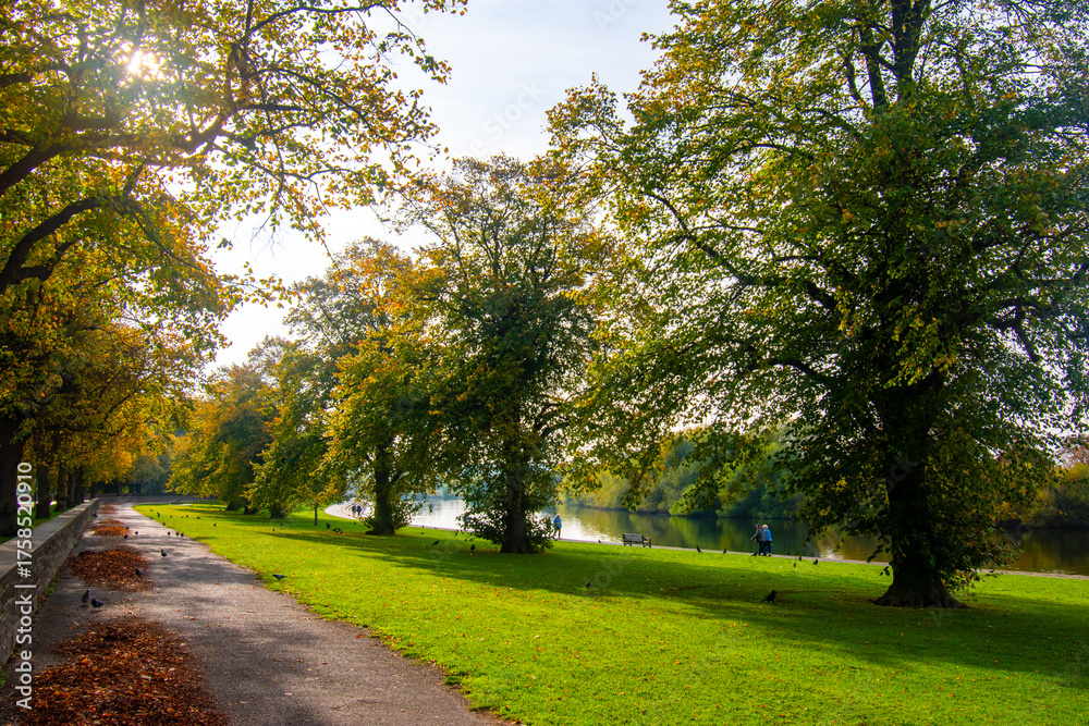 Naklejka premium Early morning walk along the river Trent in Nottingham, UK.