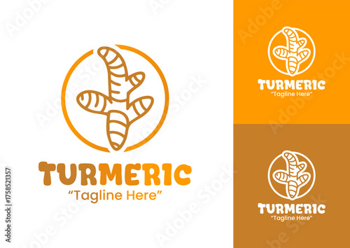 Turmeric Logo Modern Herbal Root Brand Identity