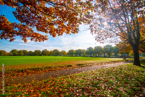 Obraz na plátne Trees in autumn color on the Meadows Recreation Ground near the river Trent in Nottingham, UK