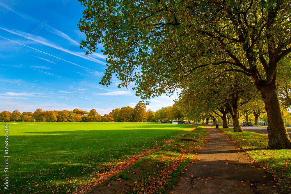 Naklejka premium Trees in autumn color on the Meadows Recreation Ground near the river Trent in Nottingham, UK.