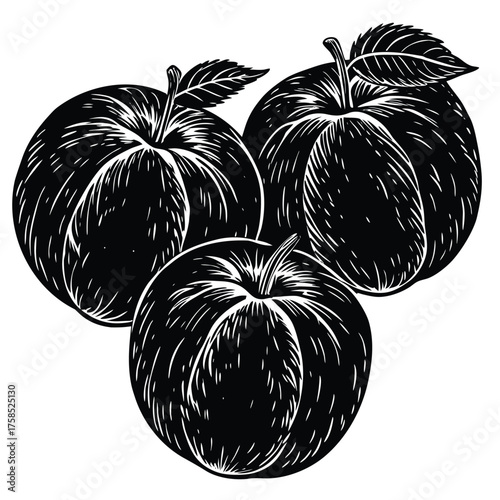 three ripe peaches with fuzzy skin.eps