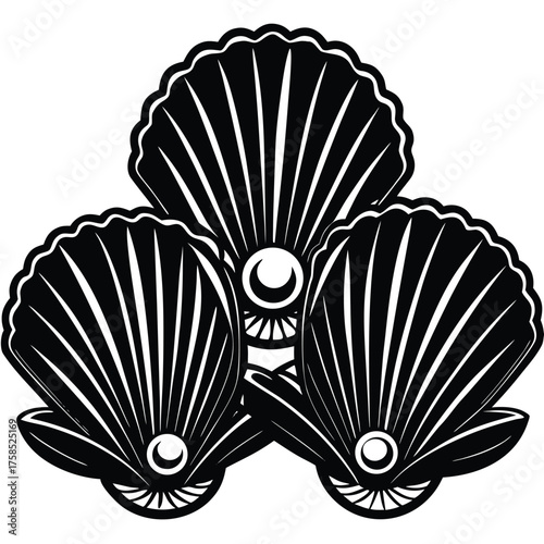 three shells with pearly interiors (1).eps