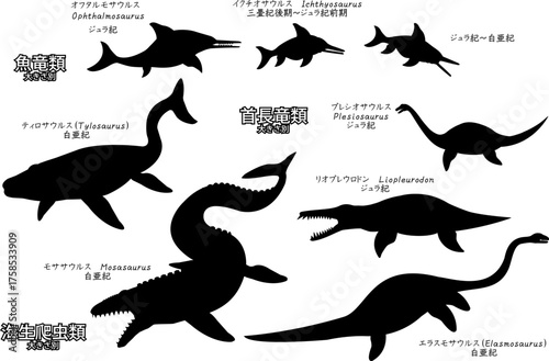 モササウルスなど太古の海生爬虫類や魚竜類　シルエットセット