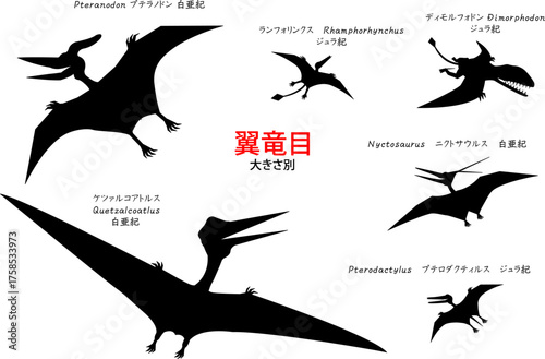 プテラノドンなど翼竜達　シルエットセット