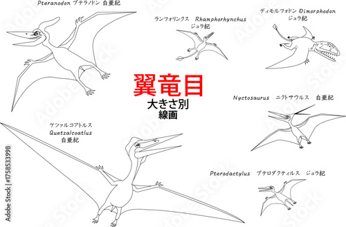プテラノドンなど翼竜達　線画のセット