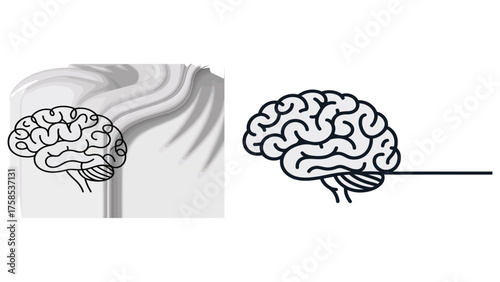Human Brain Line Drawing Symbolizing Knowledge, Creativity and Psychology Concept
