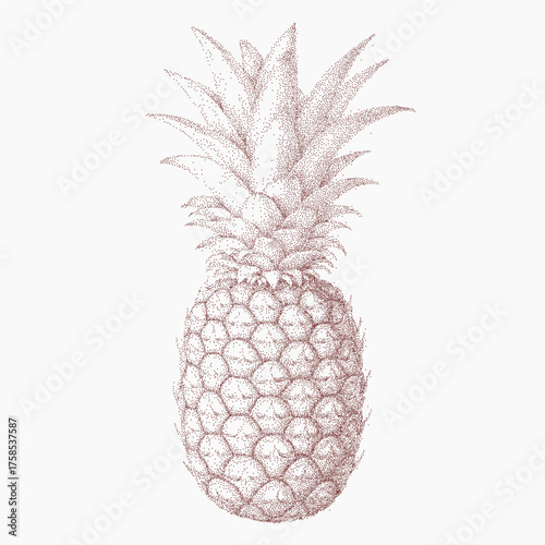 Red pineapple with ink texture and rough shadows, stippled surface and gritty grain, dusty speckles over a worn paper background.