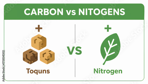 Carbon versus nitrogen infographic for composting. Flat design vector illustration of garden soil nutrients. Educational chart comparing browns and greens
