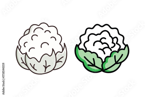 Two cabbage illustrations one plain and one with green leaf details
