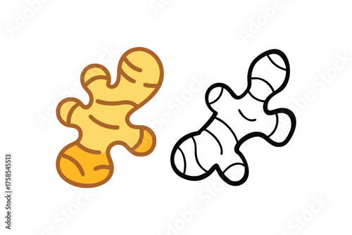 Colorful and monochrome illustrations depicting a fresh ginger root vegetable