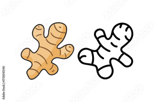 Illustration of vibrant ginger root in color and black and white