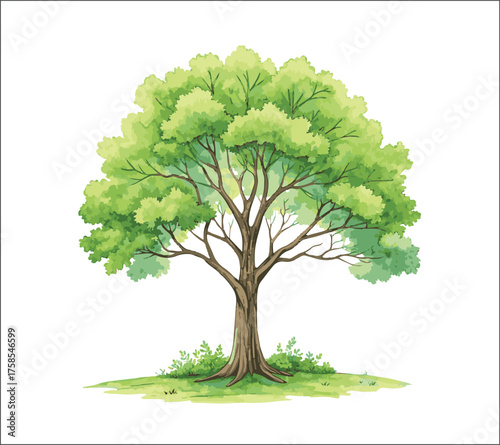 Vibrant watercolor painting of a lush green tree on a white background