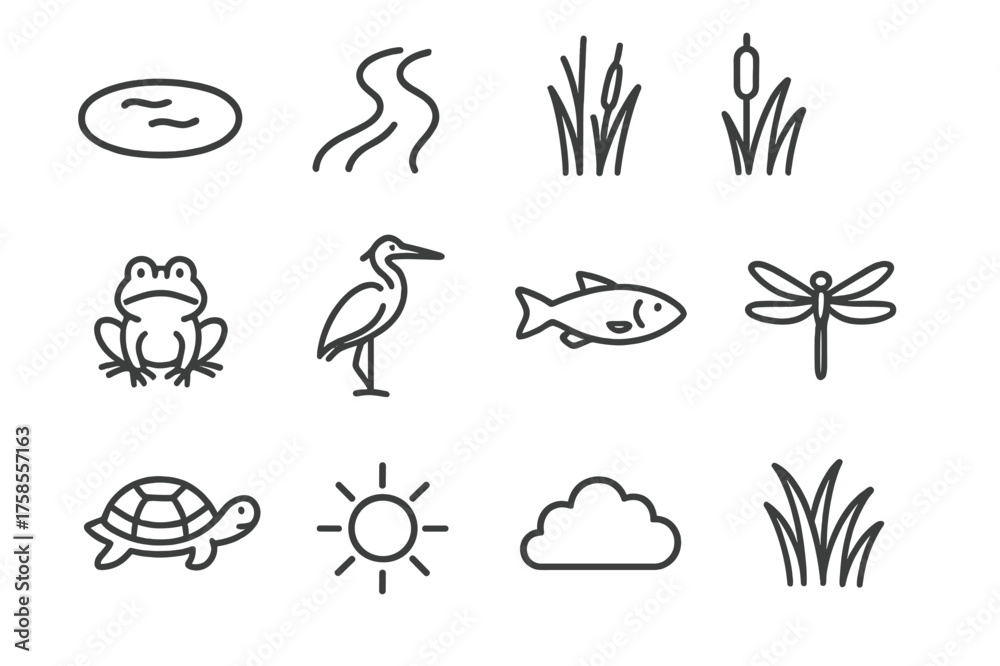 Fototapeta premium Wetland Life Icons. Wetland ecosystem. Line icon set of Wetland ecosystem: pond, river, reeds, cattail, frog, heron, fish, dragonfly, turtle, sun, cloud, marsh