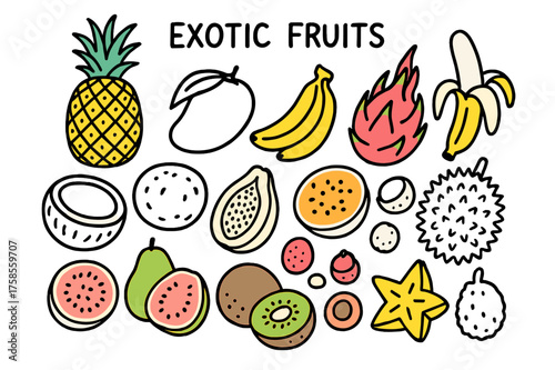 Vibrant Exotic Fruits. Exotic Fruits. Hand-drawn doodle illustration pineapple (colored), mango, banana (colored), papaya, dragon fruit (colored), coconut,
