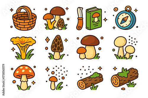 Mushroom Foraging Essentials. Wild mushroom foraging. Colorful isometric vector icons set of wild mushroom foraging: wicker basket, forest mushrooms, mushroom