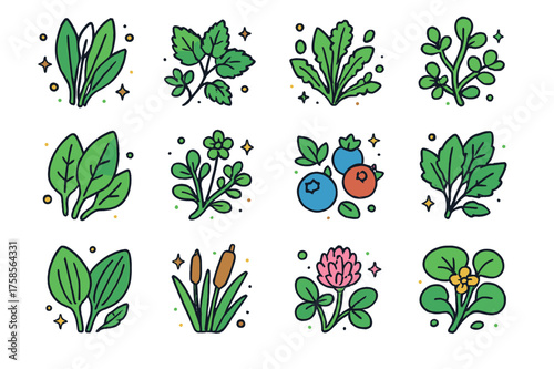 Edible Plants Icons Set. Edible plants. Colorful isometric vector icons set of edible plants: wild garlic, nettle leaves, dandelion greens, chickweed, sorrel,