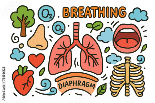 Breathing Anatomy Doodle. Breathing. Colorful Hand-drawn doodle Children illustration Lungs, nose, mouth, diaphragm, air, oxygen bubble, heart, tree, wind,