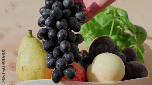 In a fruit bowl lie pears, apples, and plums. A hand places a dark bunch of grapes. The fruits are covered with water droplets. Close-up shot