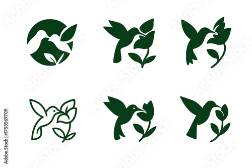 Hummingbird Logo Variations. Pollinators. Set Logo of Nature: hummingbird feeding. harmonious logo variations of the same emblematic concept, each with