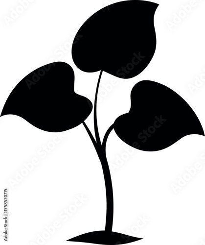 Taro Plant Silhouette with Three Rounded Leaves and Single Stem Illustration